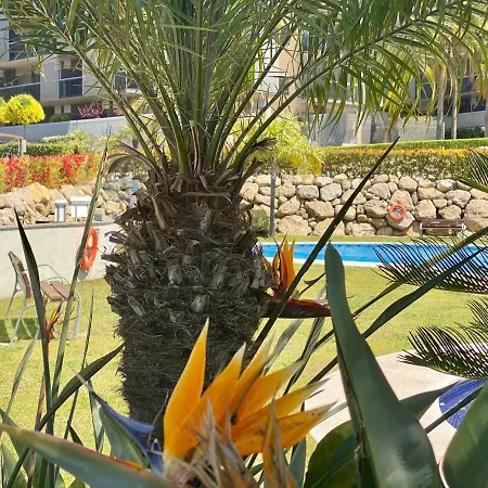 Paradise Aventura Apartamento *